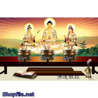 Phật Giáo đẹp tỏa sáng